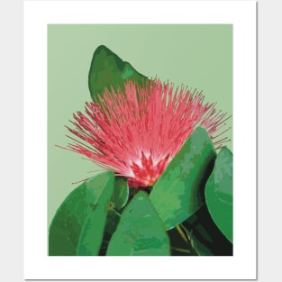 ‘Ōhi’a Lehua, native Hawaiian plant Posters and Art